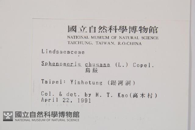 烏蕨藏品圖，第2張