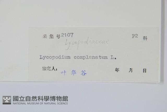 地刷子藏品圖，第2張