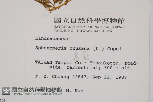 烏蕨藏品圖，第2張