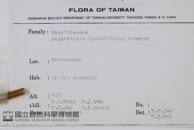 觀音座蓮藏品圖，第2張