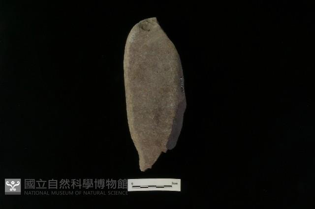 石鎚藏品圖，第1張