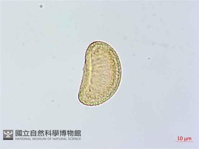 登錄號:P014152藏品圖，第3張