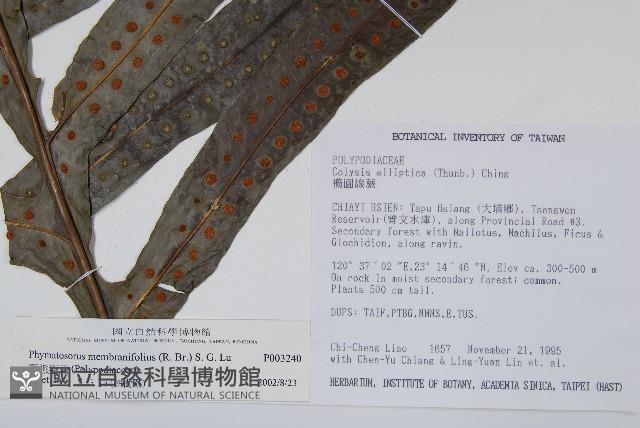 Accession Number:P003240 Collection Image, Figure 6, Total 8 Figures