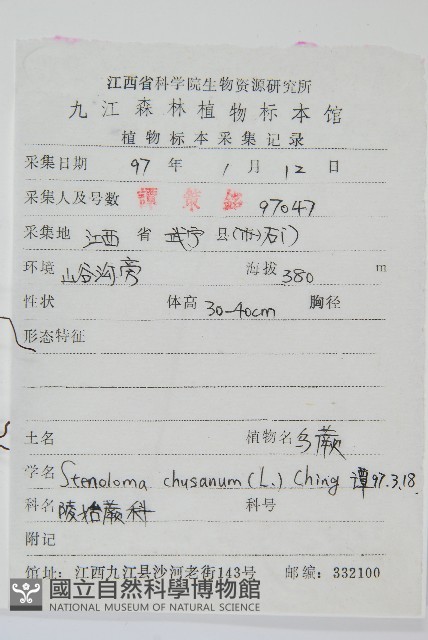 烏蕨藏品圖，第6張