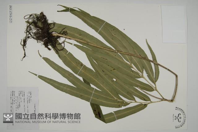 Accession Number:P011541 Collection Image, Figure 6, Total 9 Figures