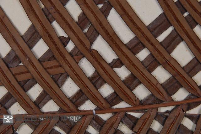 烏毛蕨藏品圖，第5張