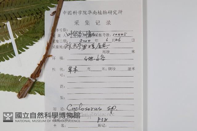 登錄號:P010348藏品圖，第4張