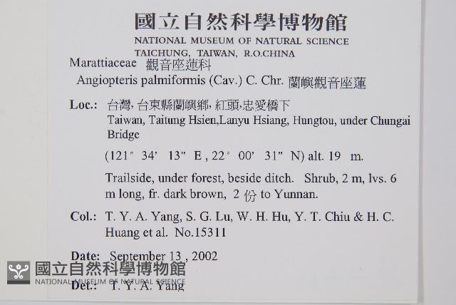 蘭嶼觀音座蓮藏品圖，第6張