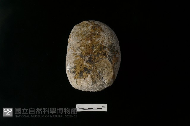 石鎚藏品圖，第4張
