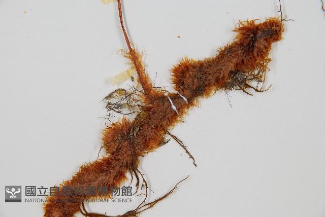 Accession Number:P001460 Collection Image, Figure 3, Total 5 Figures