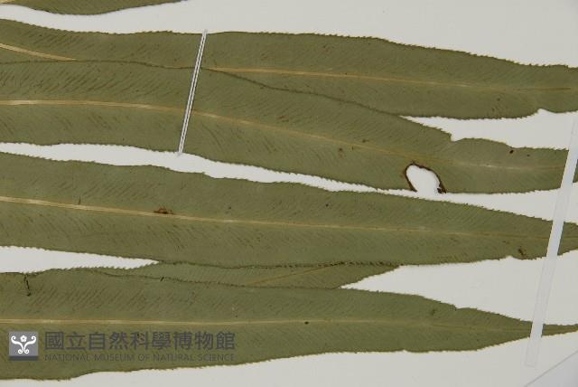 Accession Number:P011541 Collection Image, Figure 4, Total 9 Figures