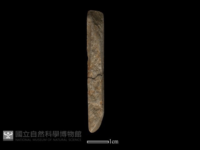 錛鑿形器藏品圖，第4張