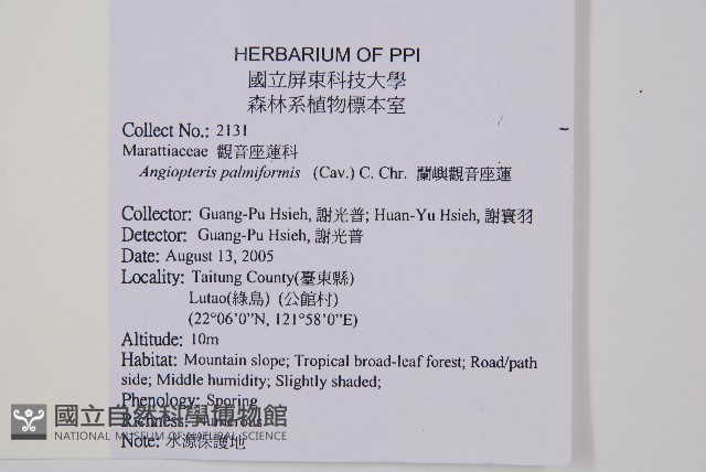 蘭嶼觀音座蓮藏品圖，第4張