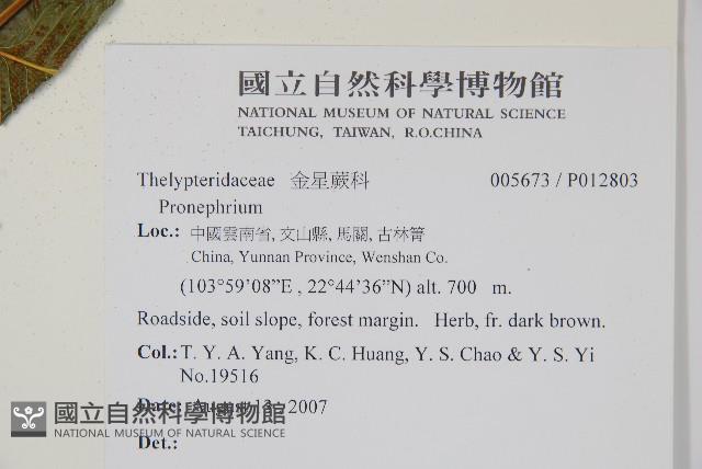 登錄號:P012803藏品圖，第4張