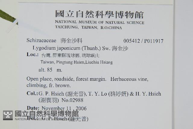 海金沙藏品圖，第4張