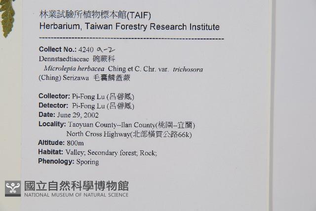 Accession Number:P010945 Collection Image, Figure 7, Total 15 Figures