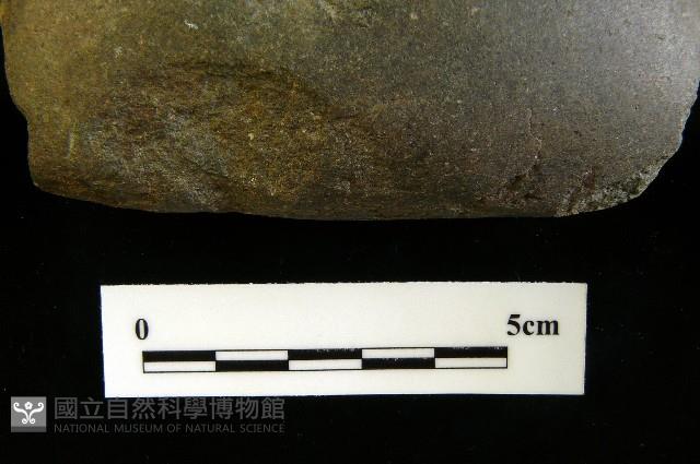 磨製斧鋤形器藏品圖，第7張