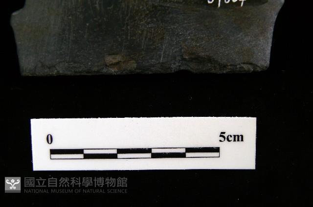 石刀藏品圖，第7張