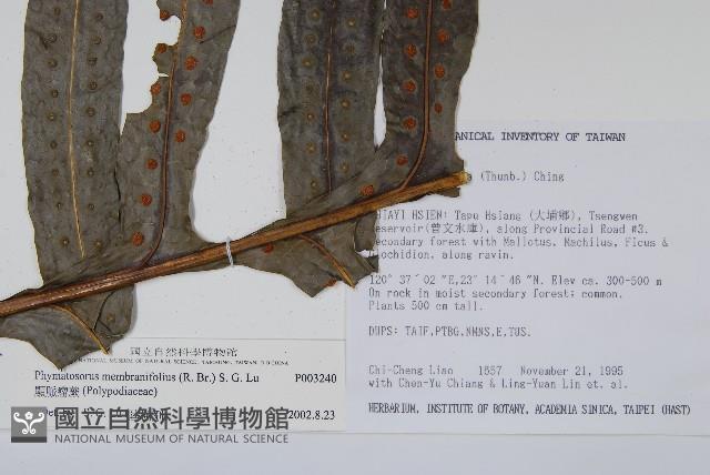 Accession Number:P003240 Collection Image, Figure 8, Total 8 Figures