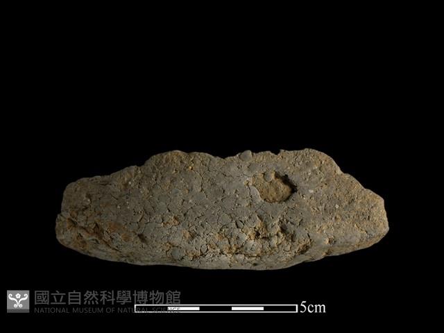 陶片藏品圖，第2張