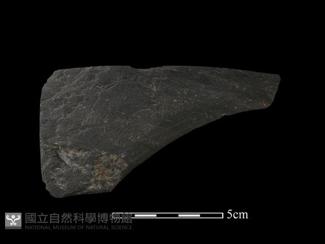 石鐮藏品圖，第1張