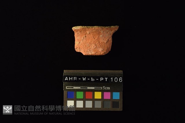 陶片藏品圖，第2張