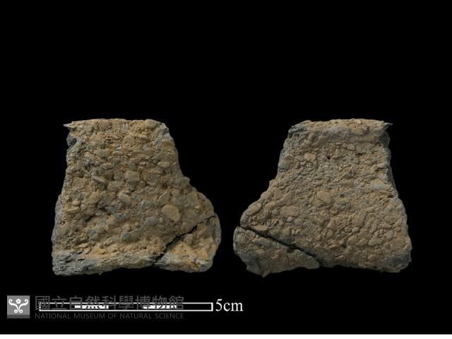 陶片藏品圖，第1張