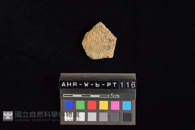 陶片藏品圖，第2張