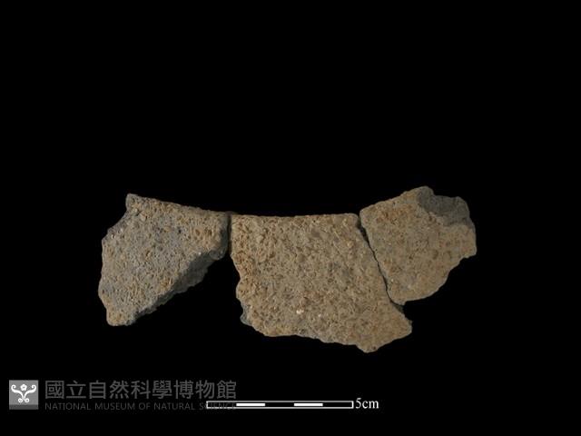 陶片藏品圖，第2張