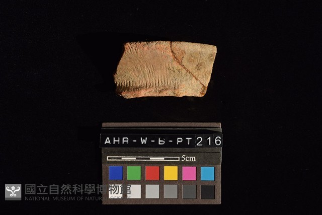 陶罐藏品圖，第2張
