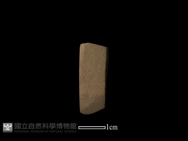 錛鑿形器藏品圖，第2張