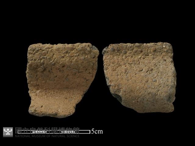 陶片藏品圖，第1張