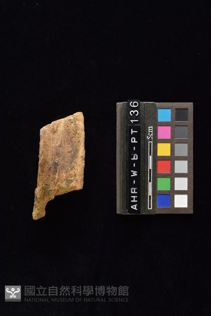 陶片藏品圖，第2張