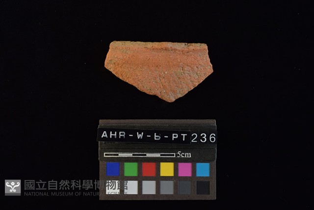 陶片藏品圖，第2張