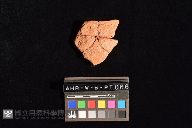 陶片藏品圖，第2張
