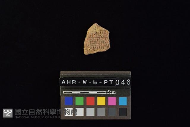 陶片藏品圖，第1張