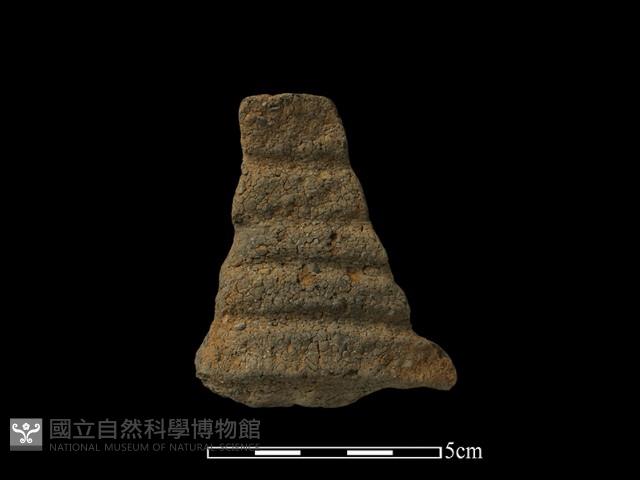 陶片藏品圖，第1張