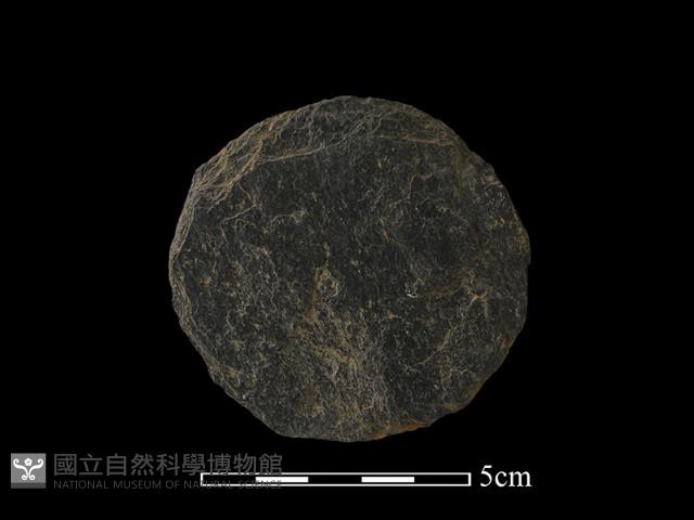 圓板形石器藏品圖，第2張