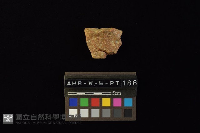 陶片藏品圖，第2張