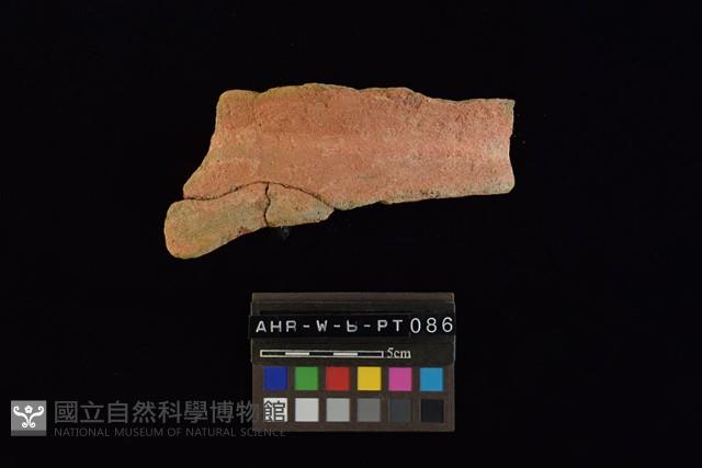 Accession Number:AHR-W-b-PT086 Collection Image, Figure 1, Total 4 Figures