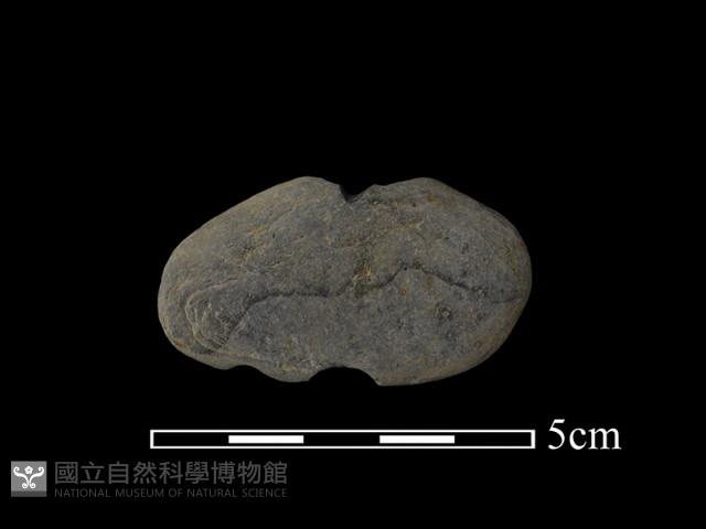 網墜藏品圖，第1張