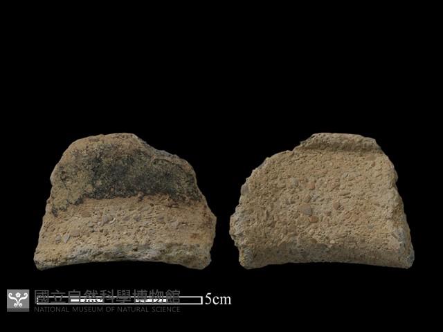 陶片藏品圖，第1張