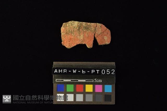 陶片藏品圖，第2張