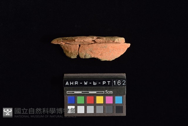 連杯形器藏品圖，第2張