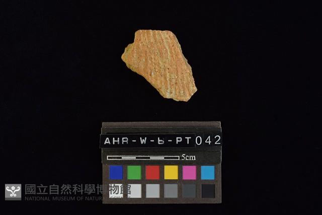 陶片藏品圖，第2張