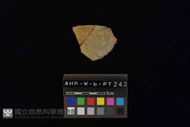 陶片藏品圖，第1張