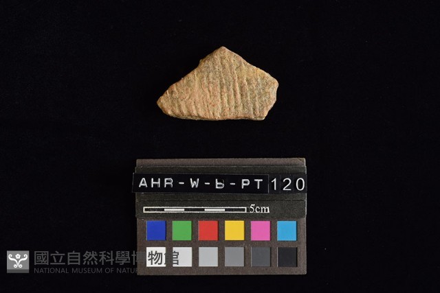 陶片藏品圖，第1張