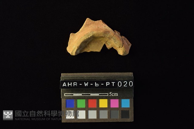 陶片藏品圖，第2張