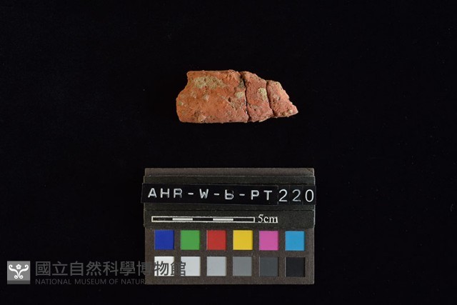陶片藏品圖，第2張