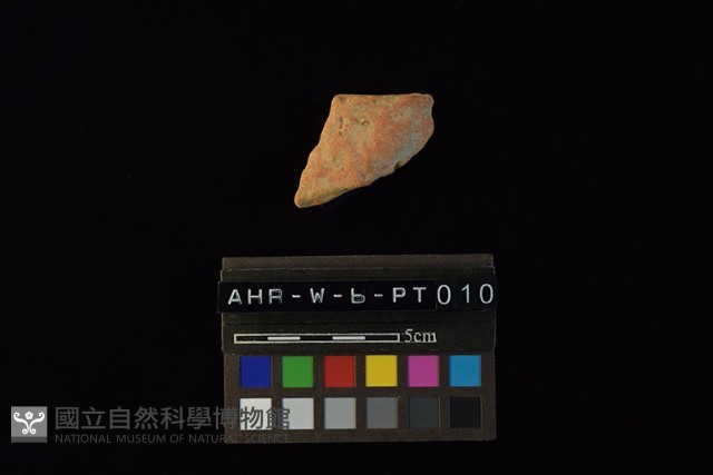 陶片藏品圖，第2張